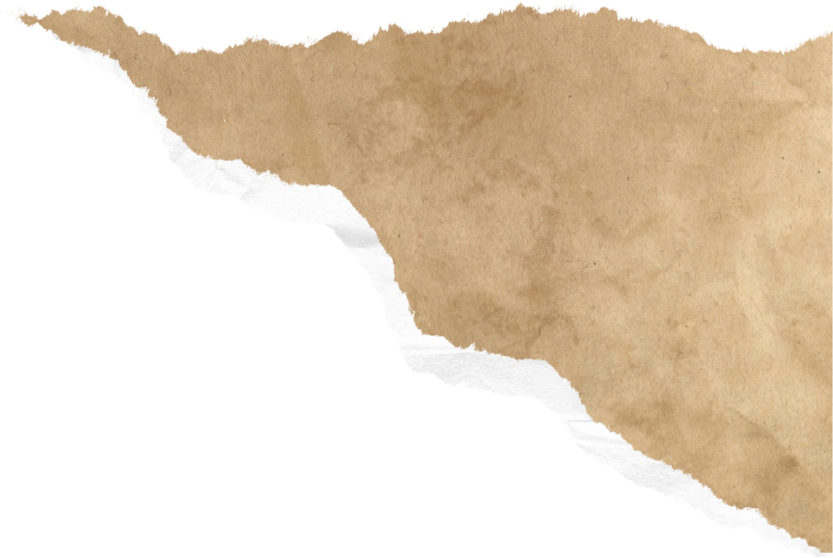 Brown Torn Paper